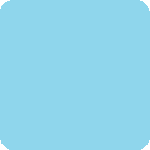 blank