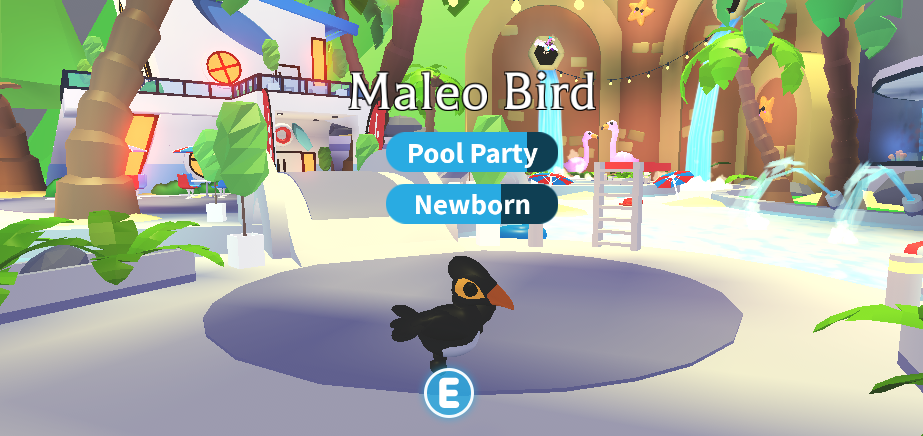 Leveling Pets